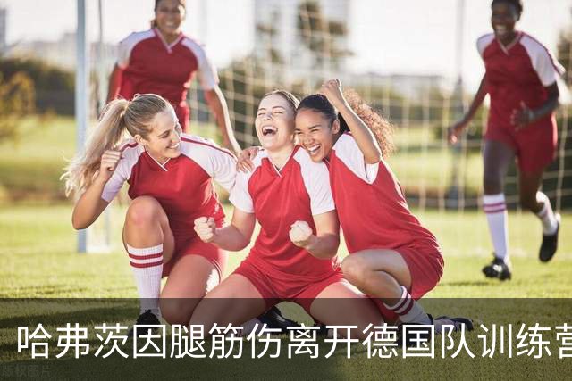 哈弗茨因腿筋伤离开德国队训练营，将接受MRI检查